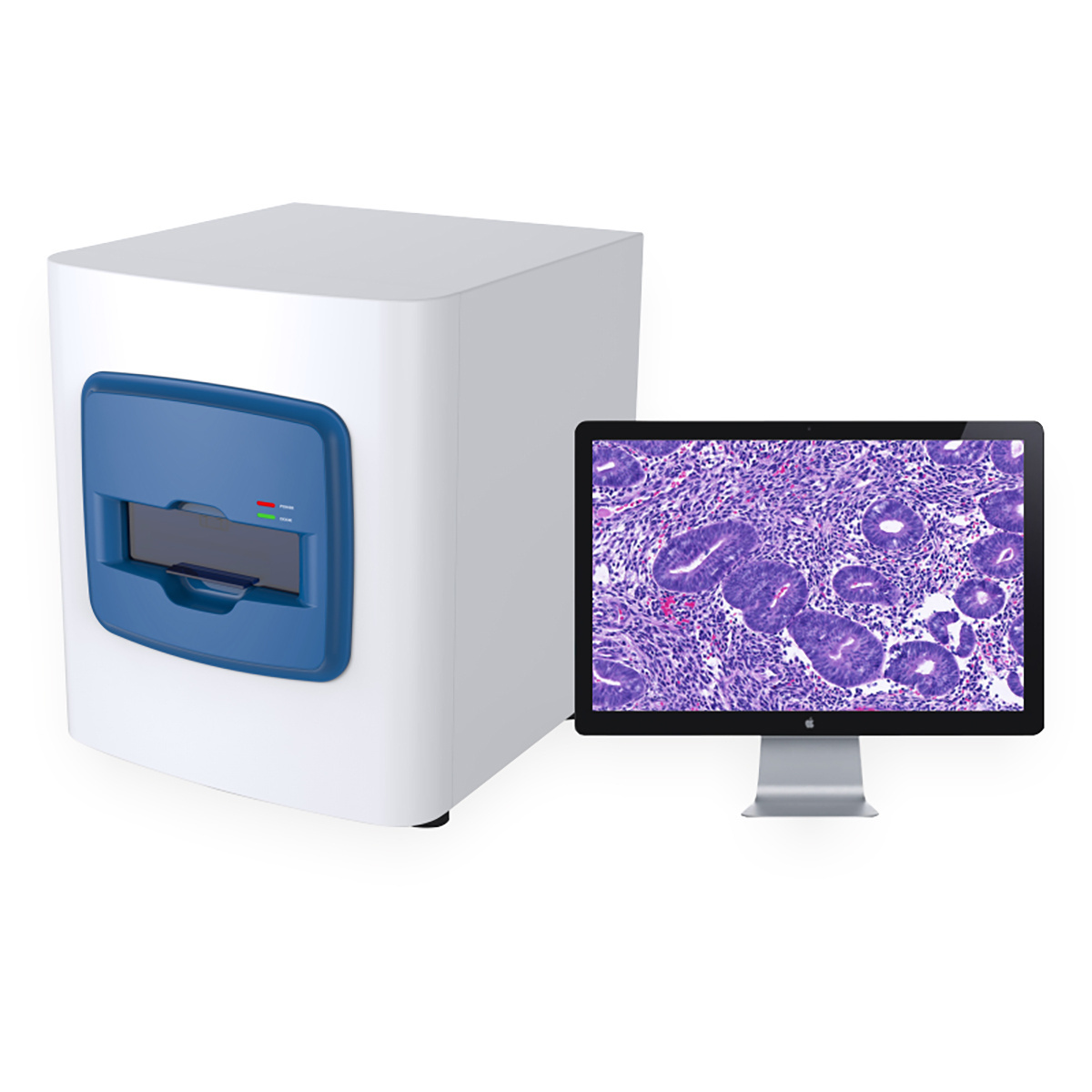 High Speed full automatic Digital Pathology Slide Scanner Laboratory Histology Pathological Tissue processor Clinical Analysis