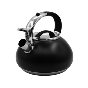 304 201 Stainless Steel Kettle High Capacity Gas Whistle Kettle Induction Cooker Teapot Thicken Kettle