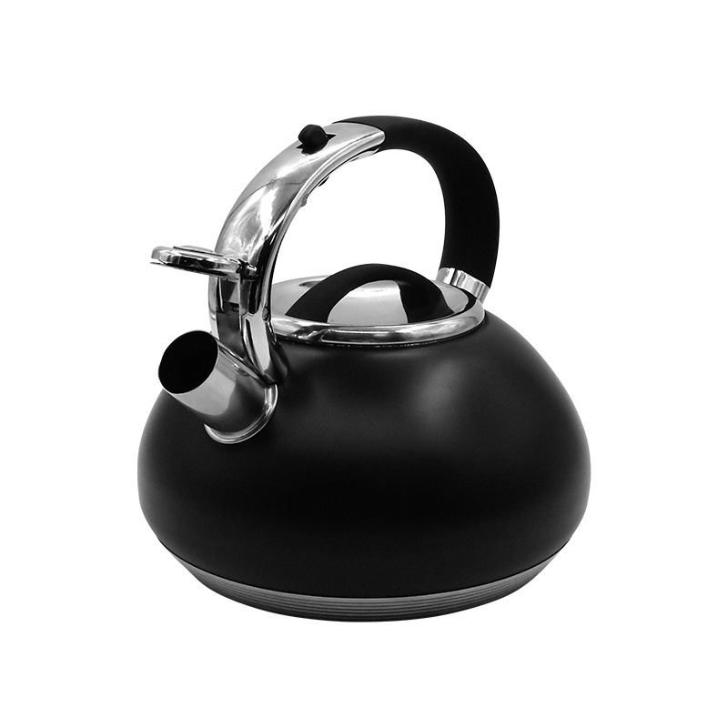 304 201 Stainless Steel Kettle High Capacity Gas Whistle Kettle Induction Cooker Teapot Thicken Kettle