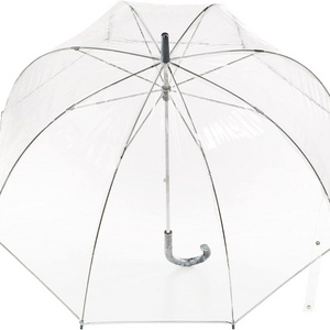 51 Inch  Apollo Poe Pvc Color Dome Transparent Umbrella For Lady