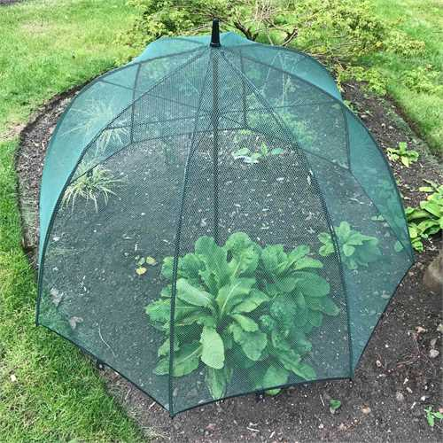 Durable plant gardening net pop-up chicken pen Pest guard cover for vegetables fruits custom plants umbrella for plants