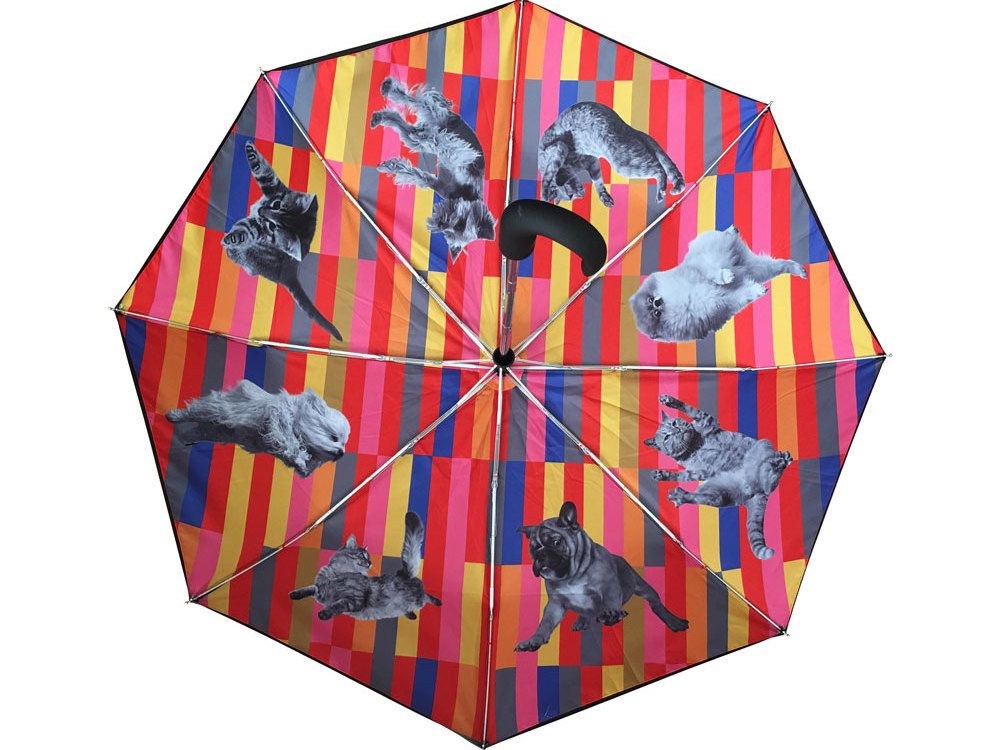 Luxury Curved handle UK dogs cats sublimation print 3 fold umbrella