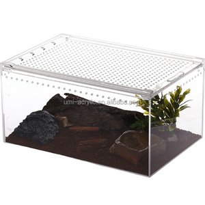 wholesale clear acrylic reptile terrarium snake display case