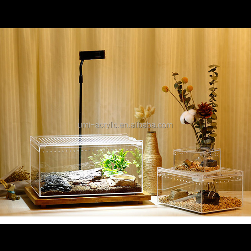 wholesale clear acrylic reptile terrarium snake display case