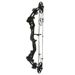 Adult compound bow archery adjustable hunting pulley   bow for the  shooting competition  arrow and bow