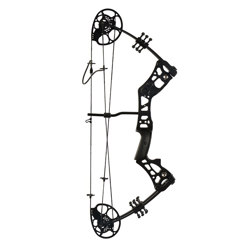 Adult compound bow archery adjustable hunting pulley   bow for the  shooting competition  arrow and bow