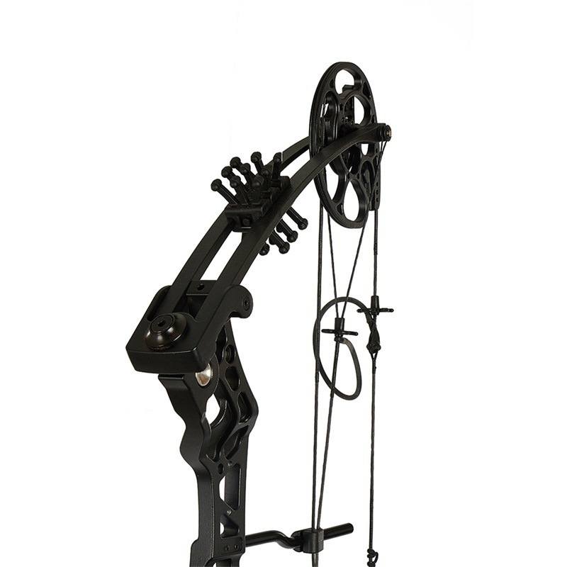 Adult compound bow archery adjustable hunting pulley   bow for the  shooting competition  arrow and bow