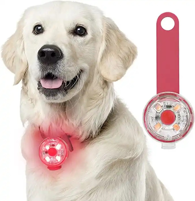 Pet Safety Luminous Light Flashing Anti-Lose Waterproof Pet Dog Collar LED Light For Night Walking