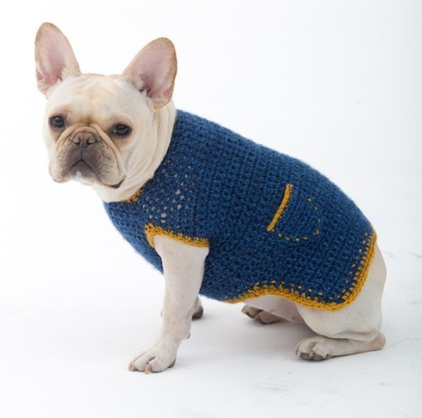 Navy Style Dog Knitwear with Pocket