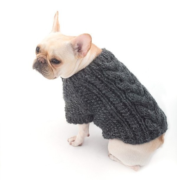 Navy Style Dog Knitwear with Pocket