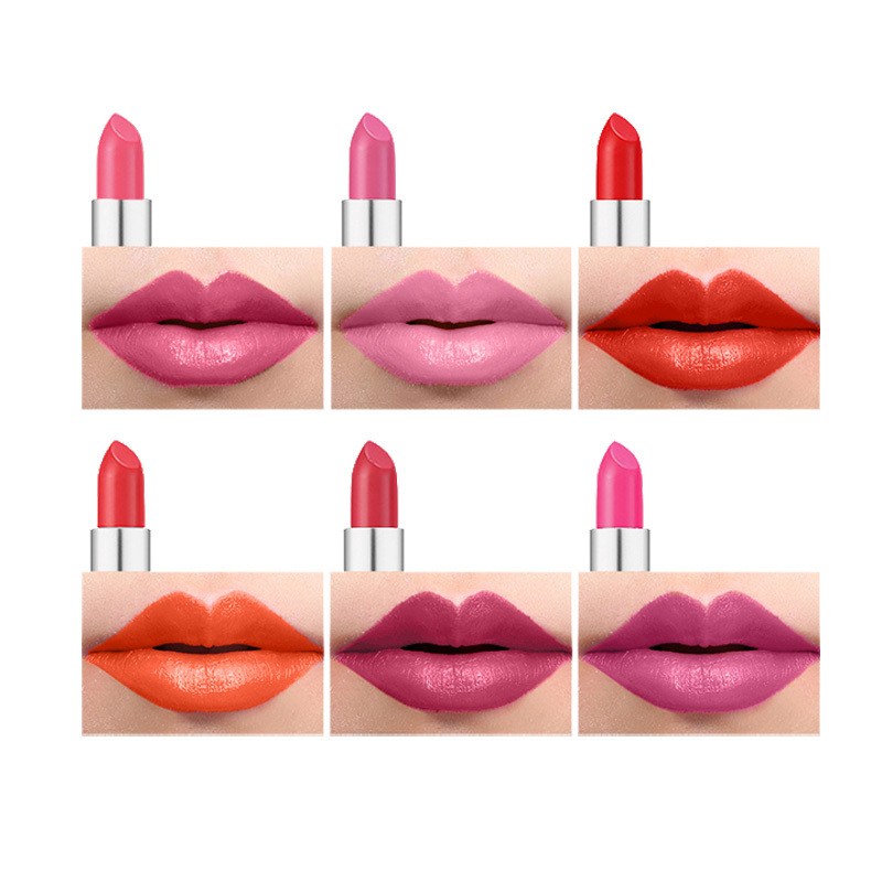 Custom Logo Hot Sale Women Lip Makeup 100% Vegan Cruelty Free Classic Fashion Matte Black Bullet Lipstick