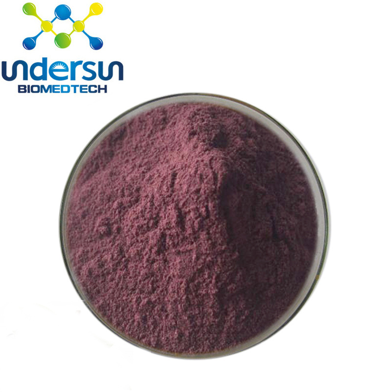 Undersun Supply Herbal Extract Billberry Extract Black Bean Black  Hull Soybean Peel Extract Anthocyanin 5% - 25%