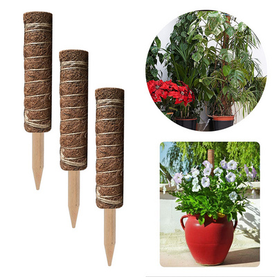 Biodegradable 12Inch Potted Plant Support Sticks Set Stand Indoor Coco Coir Moss Totem Pole Monstera