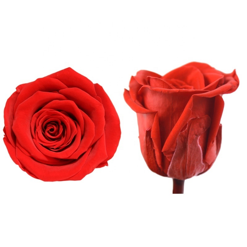 Yunnan Grade A Immortal Preserved Roses Head Wholesale High Quality Eternal Roses Real Forever Roses Eternelle Rosas Preservadas