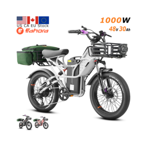 Eahora Cupid FOB China Electric Bike 1000W Electric City Bicycle 48V 30Ah Fat Tire Electric Mountain Bike electric cargo bike