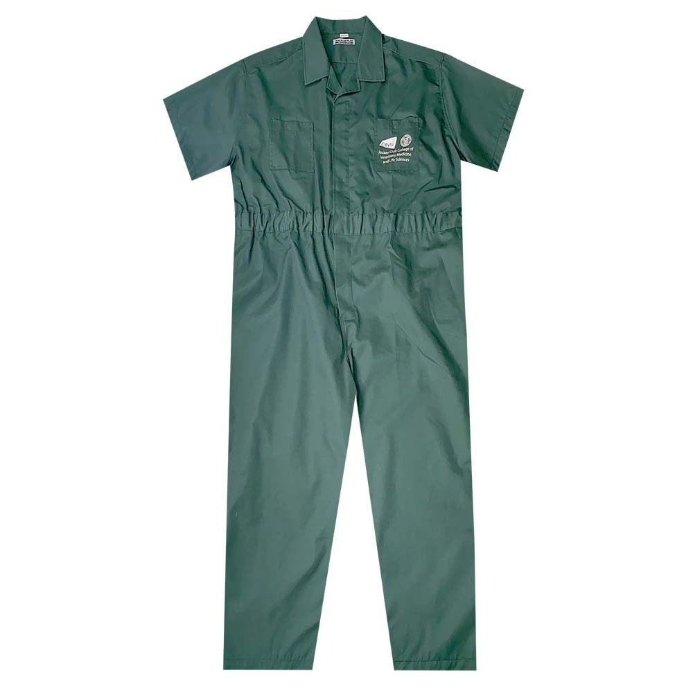 Recycle Plastics RPET Green Plus Size Jumpsuits Loose for Worker Anti Static Dust Mechanic Workwear Uniformes Industriales