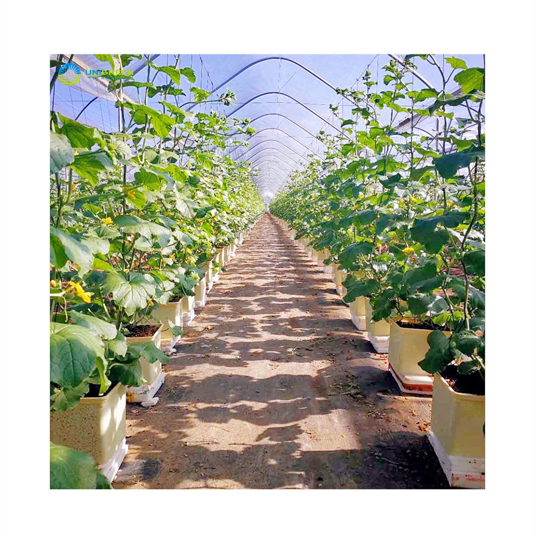 Dutch Bato Bucket Cheap Price Hydroponic Tomato Pumpkin Cultivation System Dutch Bato Bucket For Commercial Hydroponic System