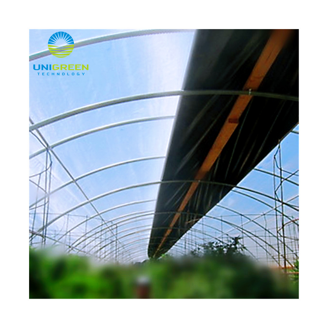 10 Years Lifespan Multi-span Agricultural Used Greenhouse Aluminum Base With 200 Micron Plastic Film Greenhouse