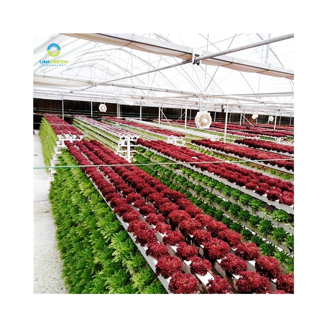 Hydroponic Greenhouse Shelves A Type PVC NFT Pipe Indoor Farm Leaf Vegetable Lettuce Growing Racks A Type Frame Vertical Nft