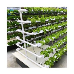 Hydroponic Greenhouse Shelves A Type PVC NFT Pipe Indoor Farm Leaf Vegetable Lettuce Growing Racks A Type Frame Vertical Nft