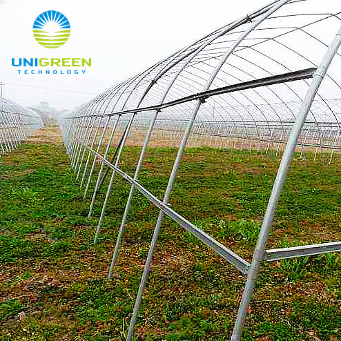 10 Years Lifespan Multi-span Agricultural Used Greenhouse Aluminum Base With 200 Micron Plastic Film Greenhouse