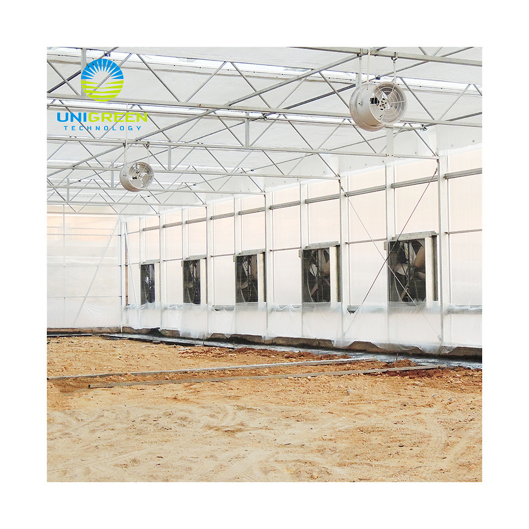 10 Years Lifespan Multi-span Agricultural Used Greenhouse Aluminum Base With 200 Micron Plastic Film Greenhouse