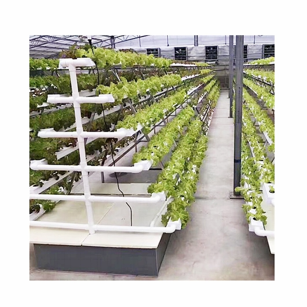 Hydroponic Greenhouse Shelves A Type PVC NFT Pipe Indoor Farm Leaf Vegetable Lettuce Growing Racks A Type Frame Vertical Nft