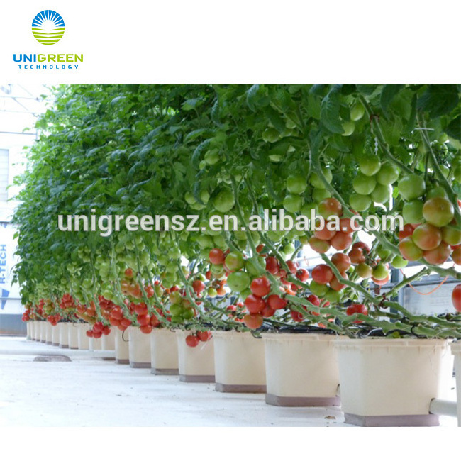 Commercial Greenhouse Bato Dutch Bucket Hydroponic System