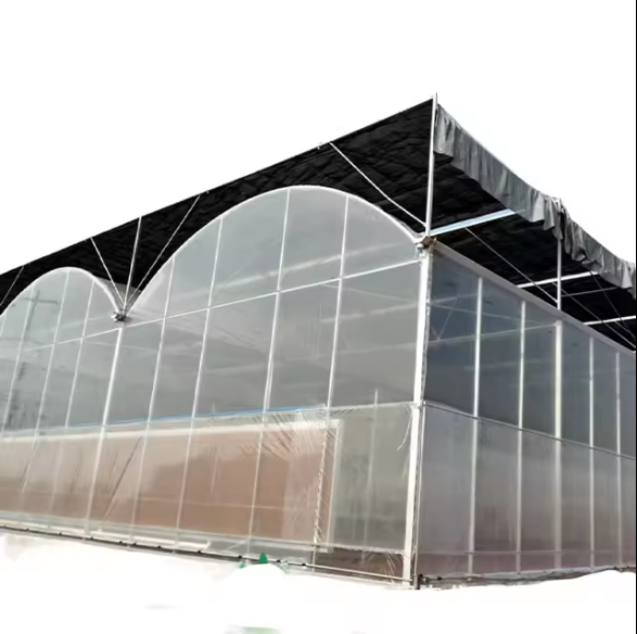 Multi Span Greenhouse Plastic Film for Hydroponics System Agricultural Galvanized Frame Polycarbonate Greenhouse