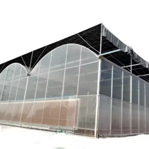 Multi Span Greenhouse Plastic Film for Hydroponics System Agricultural Galvanized Frame Polycarbonate Greenhouse