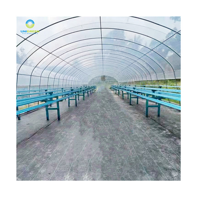 China Factory Direct Sale 8*30m Cheap Greenhouse Single-span Tunnel Greenhouse Used For Agriculture Tomato Strawberry