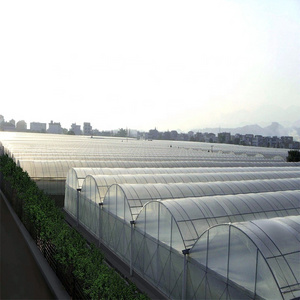 Hot Sale Tunnel greenhouse Auto Blackout Polycarbonate agriculture greenhouse tunneling