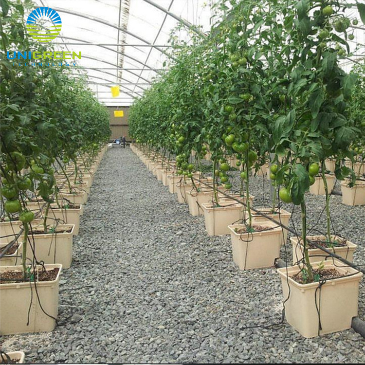 Commercial Greenhouse Bato Dutch Bucket Hydroponic System