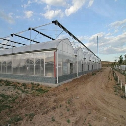 Multi Span Greenhouse Plastic Film for Hydroponics System Agricultural Galvanized Frame Polycarbonate Greenhouse