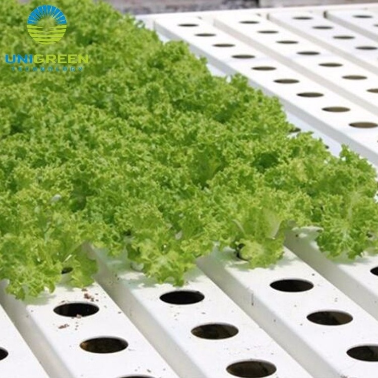 Hydroponics Customized Length Gully Food Grade PVC Pipe NFT Channel Soilless Hydroponic Growing System NFT Pipes