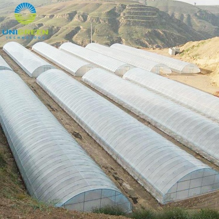 Multi Span Greenhouse Plastic Film for Hydroponics System Agricultural Galvanized Frame Polycarbonate Greenhouse