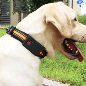 Clip 2021 With Sim Room 3G Collar Tracking Realtime Recording 4G Pet Dollar Device Dog hunting Shock Collar Cat Dog Gps Tracker