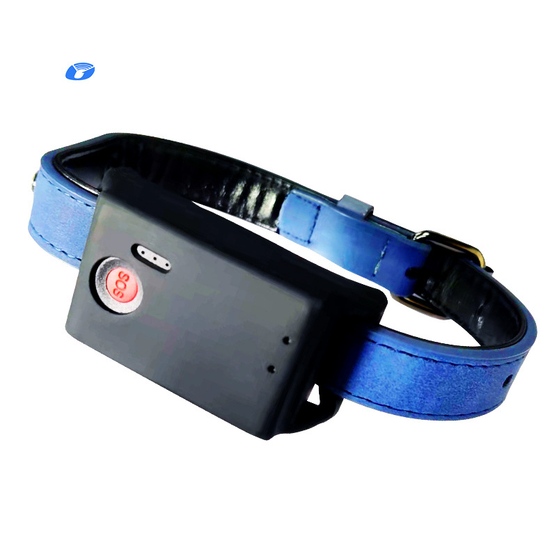 Clip 2021 With Sim Room 3G Collar Tracking Realtime Recording 4G Pet Dollar Device Dog hunting Shock Collar Cat Dog Gps Tracker