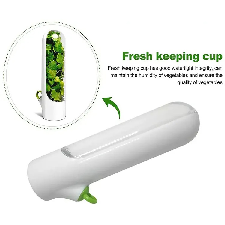 New Product Ideas herb saver fresh keeper storage Container Transparent Refrigerator Herb Saver