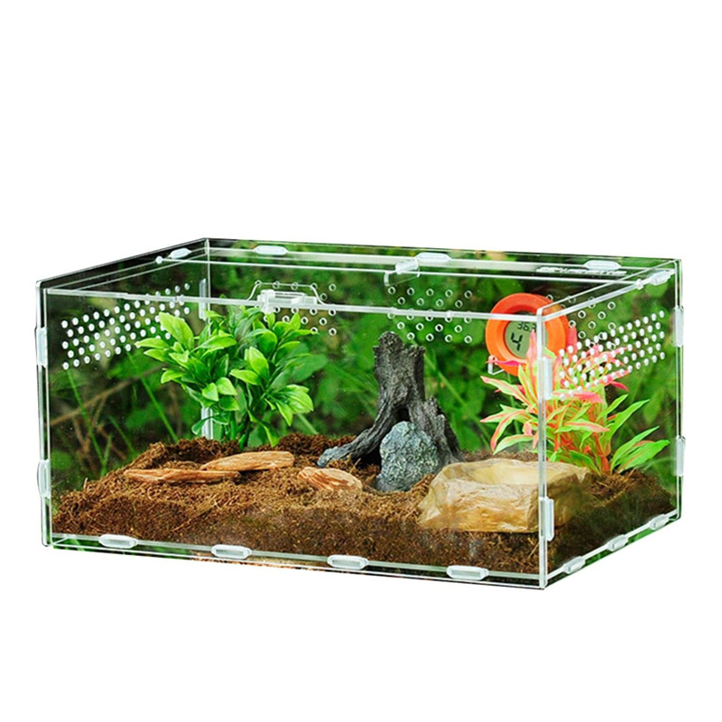 plastic acryl snake tarantula enclosure reptiles feeding plexiglass breeding box frogs turtles spider acrylic reptile enclosure