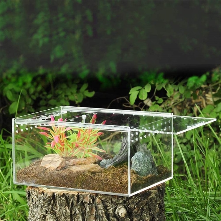 plastic acryl snake tarantula enclosure reptiles feeding plexiglass breeding box frogs turtles spider acrylic reptile enclosure