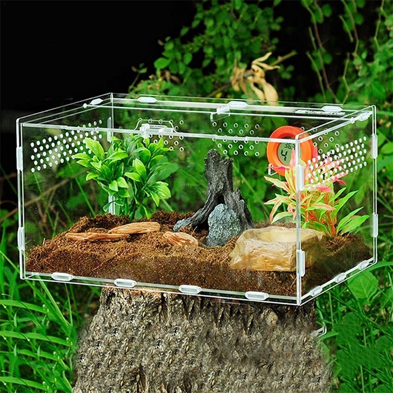 plastic acryl snake tarantula enclosure reptiles feeding plexiglass breeding box frogs turtles spider acrylic reptile enclosure