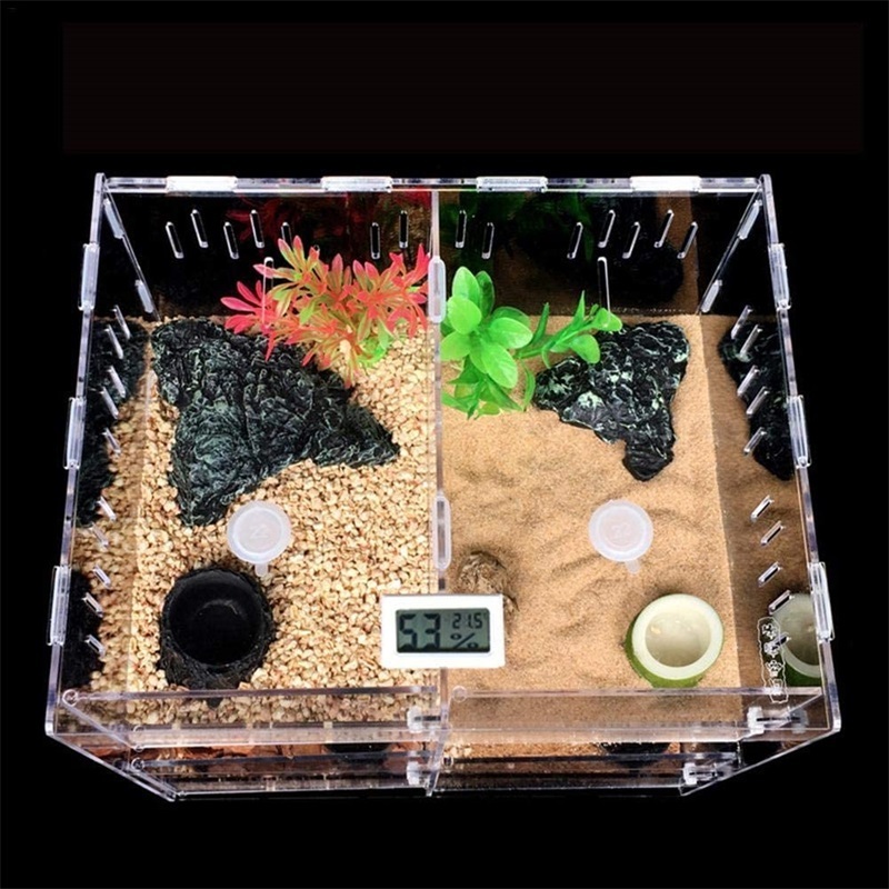 large terrarium reptile turtle breeding snake spider box tarantula cage acryl tarantula enclosure reptiles feeding plexiglass