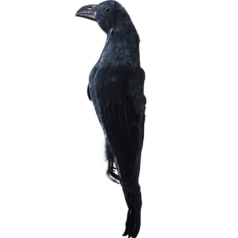 Ravens with Feather  Scary Standing Flying Birds Realistic Feathered Black Crows