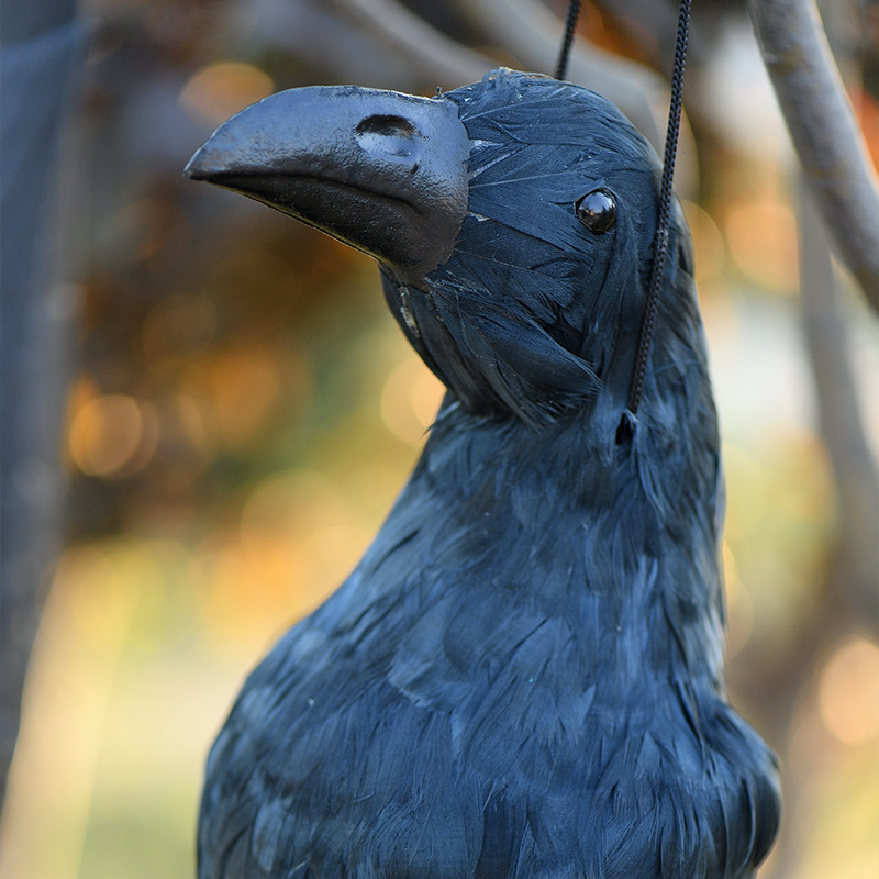 Ravens with Feather  Scary Standing Flying Birds Realistic Feathered Black Crows