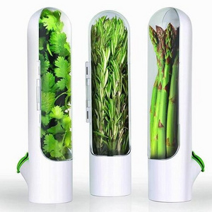 Best seller Herb Savor Storage Container Freshness Herb Keeper Transparent Refrigerator Herb Saver