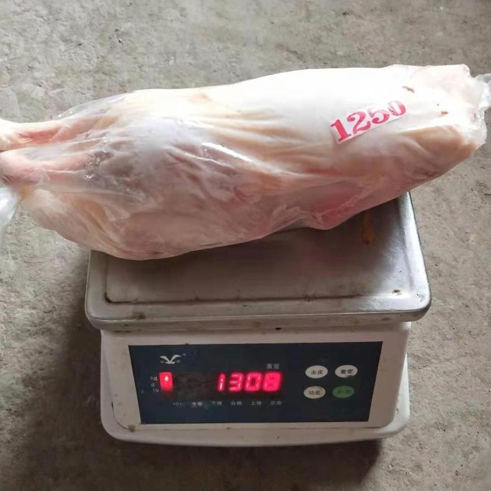 HALAL Frozen whole duck  meat  with head duck export supplier