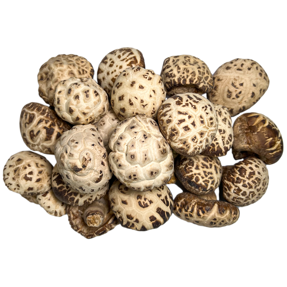 Dried Shiitake Mushrooms Essential for High Quality Soup Dehydrated Lentinus edodes Edible