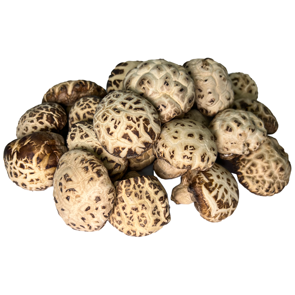 Dried Shiitake Mushrooms Essential for High Quality Soup Dehydrated Lentinus edodes Edible