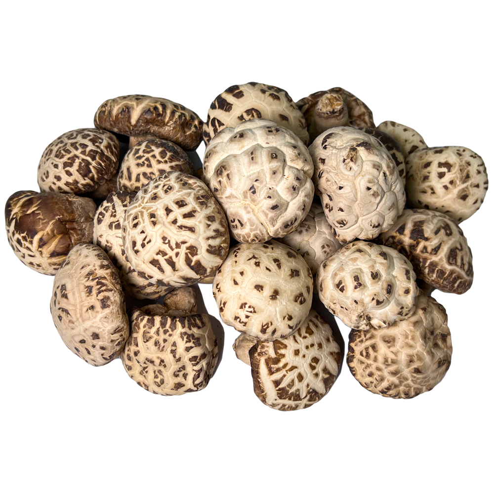 Dried Shiitake Mushrooms Essential for High Quality Soup Dehydrated Lentinus edodes Edible